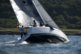 animal gbr1952l whw12 fri gjmc 8906